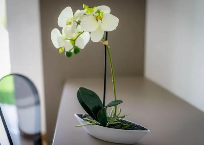 Megy - Id 2209 By Interhome